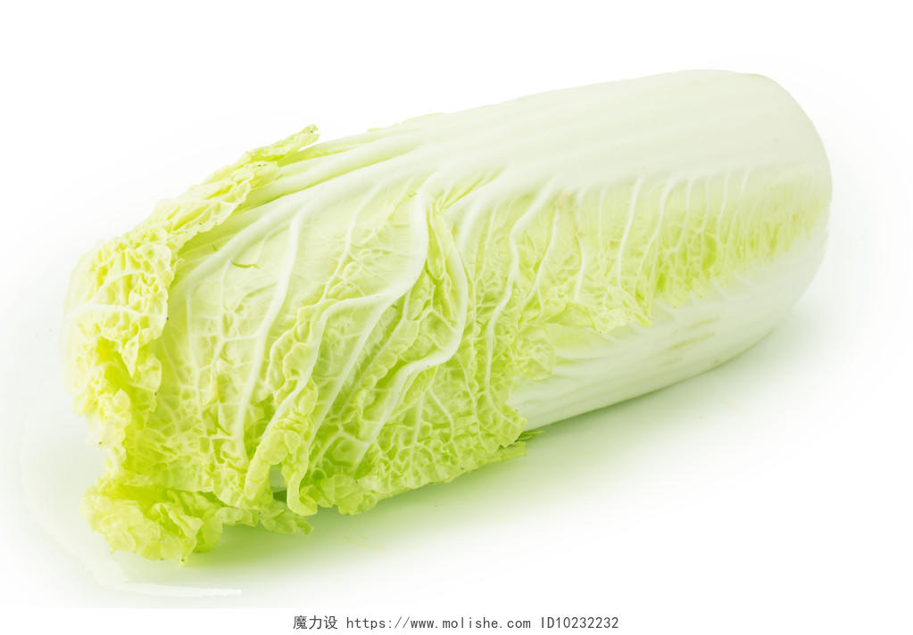 白色背景的新鲜绿色卷心菜